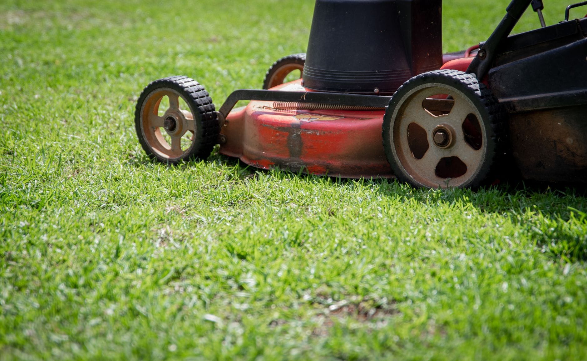 Pomarańczowa kosiarka automatyczna na zielonym trawniku w ogrodzie