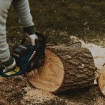 Pilarka traci moc w grubym pniu – zatarty cylinder czy zapchany wydech? Pilarka traci moc w grubym pniu – zatarty cylinder czy zapchany wydech?